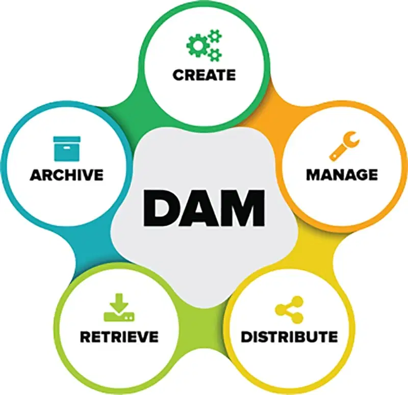 Mô hình DAM gồm nhiều yếu tố liên kết và tương tác lẫn nhau